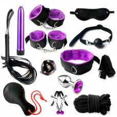 БДСМ набір із 12 предметів - Бузковий - Садо-мазо