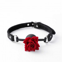 Кляп-куля БДСМ для рольових ігор 