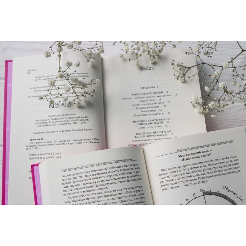 Фрагмент тексту книги 'Приховане диво. Вся правда про анатомію жінки', що показує доступність та чіткість викладення інформації