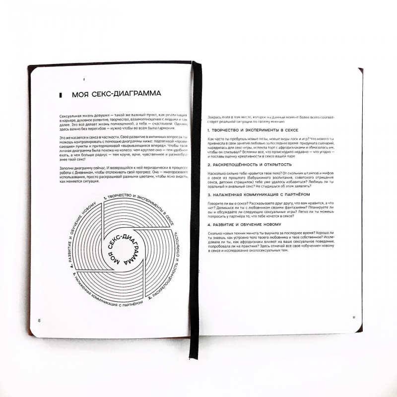Обучающий интимный дневник-книга Sex Diary, развернутые страницы с примерными записями