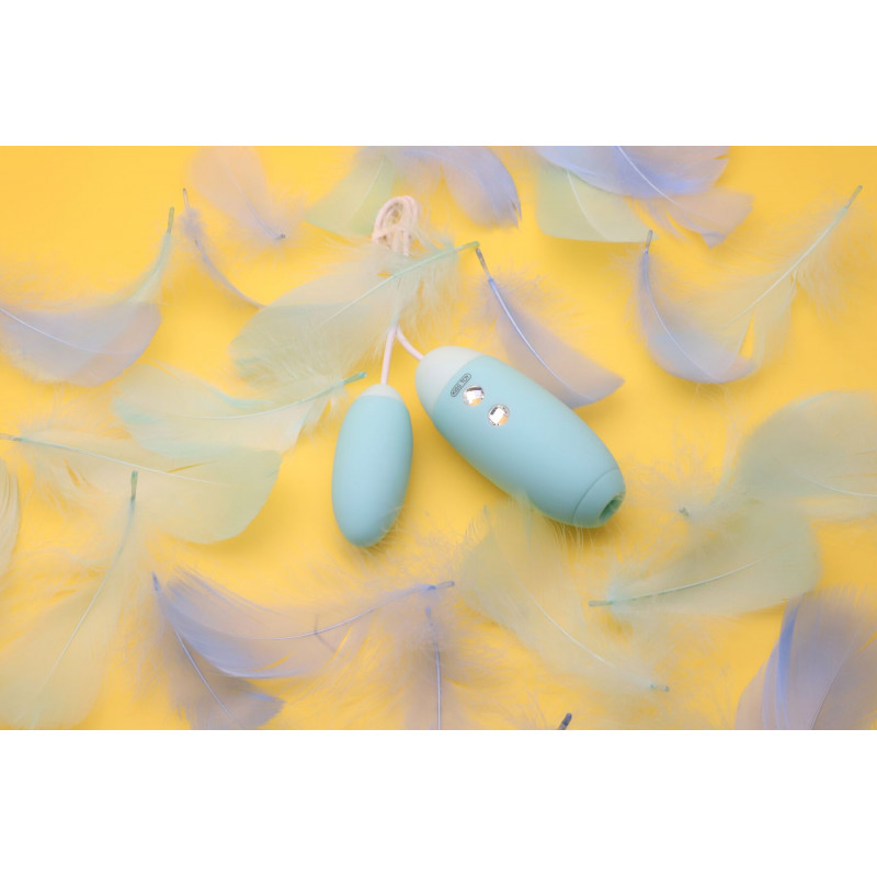 Комплектація вакуумного стимулятора KISSTOY Miss VV Cyan, включаючи зарядний пристрій