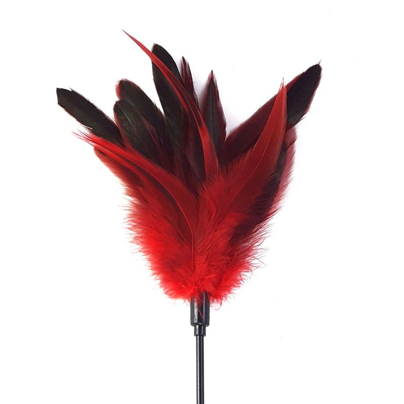 Червона пір'яна лоскітка Art of Sex Feather Paddle у детальному вигляді збоку, демонструючи витончену ручку