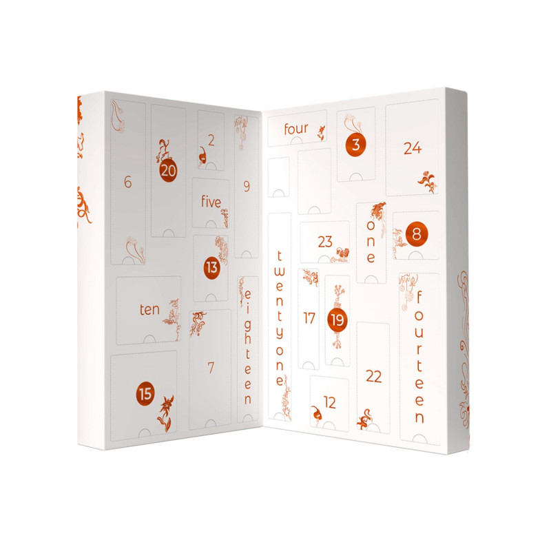 Календар секс-сюрпризів Adrien Lastic CHRISTMAS DESIRES: детальний вигляд упаковки