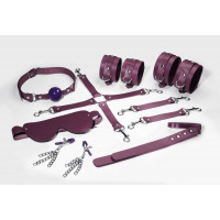 BDSM набор Feral Feelings Kit 7 Burgundy с наручниками, поножами, маской, паддлом, кляпом и зажимами