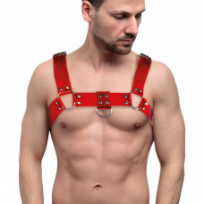 Чоловіча портупея Feral Feelings Bulldog Harness Red Transparent — Keks-Hub