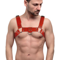 Чоловіча портупея на груди Feral Feelings Bulldog Harness Red