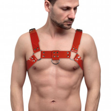 Чоловіча портупея на груди Feral Feelings Bulldog Harness Red — Keks-Hub