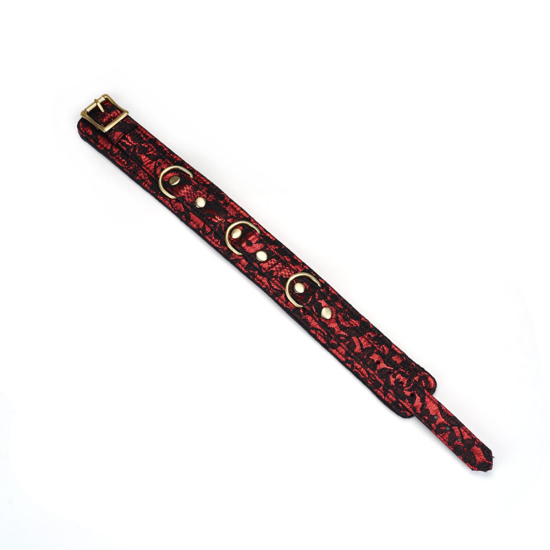 Набір Liebe Seele Victorian Garden: нашийник та повідець у природному освітленні