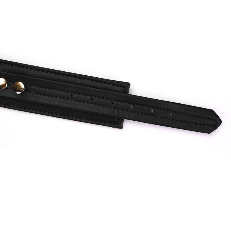 Нашийник Liebe Seele Black Organosilicon та повідець, комплект в упаковці