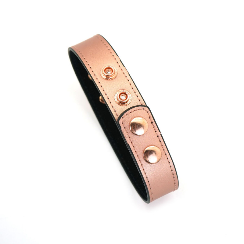 Нашийник Liebe Seele Rose Gold Memory Collar, акцент на брендовій фурнітурі