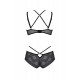 Загальний вигляд комплекту білизни Passion DROSERA BIKINI black: модний дизайн, розмір XXL/XXXL