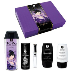 Подарунковий набір Shunga Naughtier Kit: 5 продуктів для інтимної стимуляції — Keks-Hub
