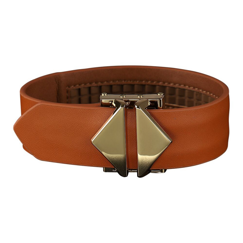 Застібки та пряжки набору ременів LOCKINK