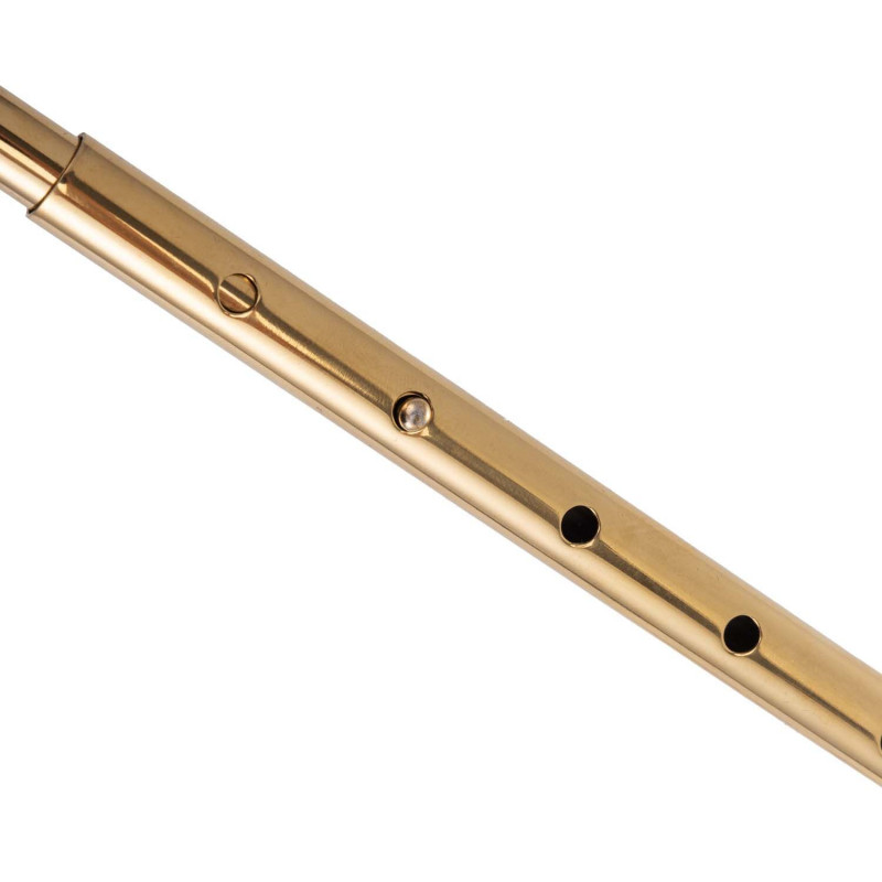 Регульований механізм анальних гаків LOCKINK Golden Adjustable, золотий колір