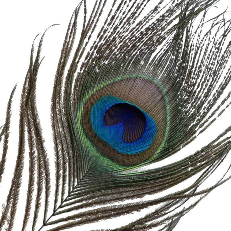 Щекоталка LOCKINK SEVANDA в руке, демонстрирующая размер и вес