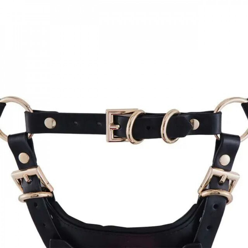 Текстура матеріалу сбруї LOCKINK SEVANDA Queen Sheba Set