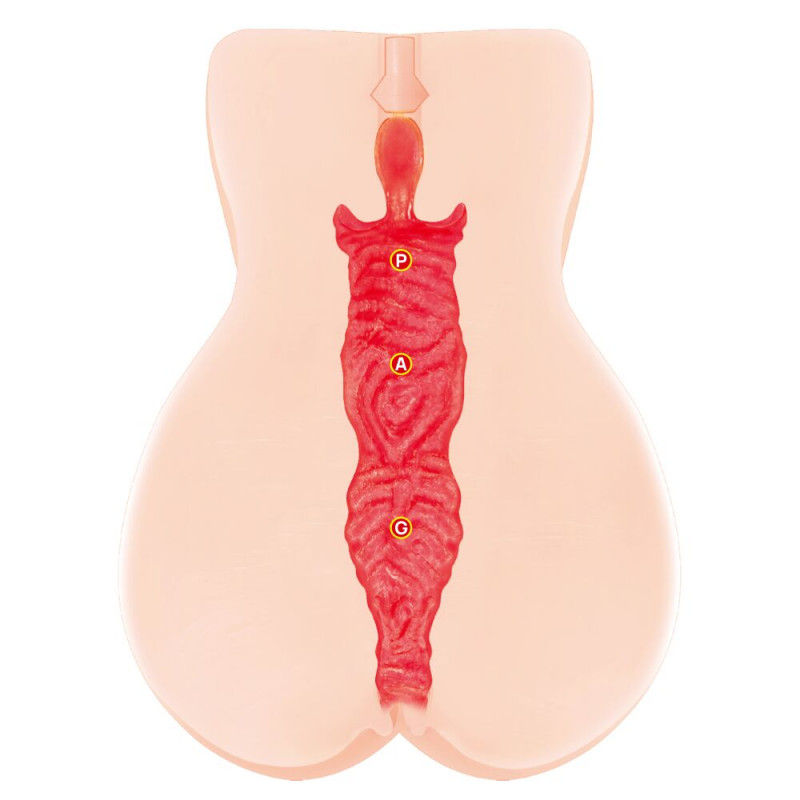 Мастурбатор Kokos Onahole Edition 005 Jenny, нижній вигляд