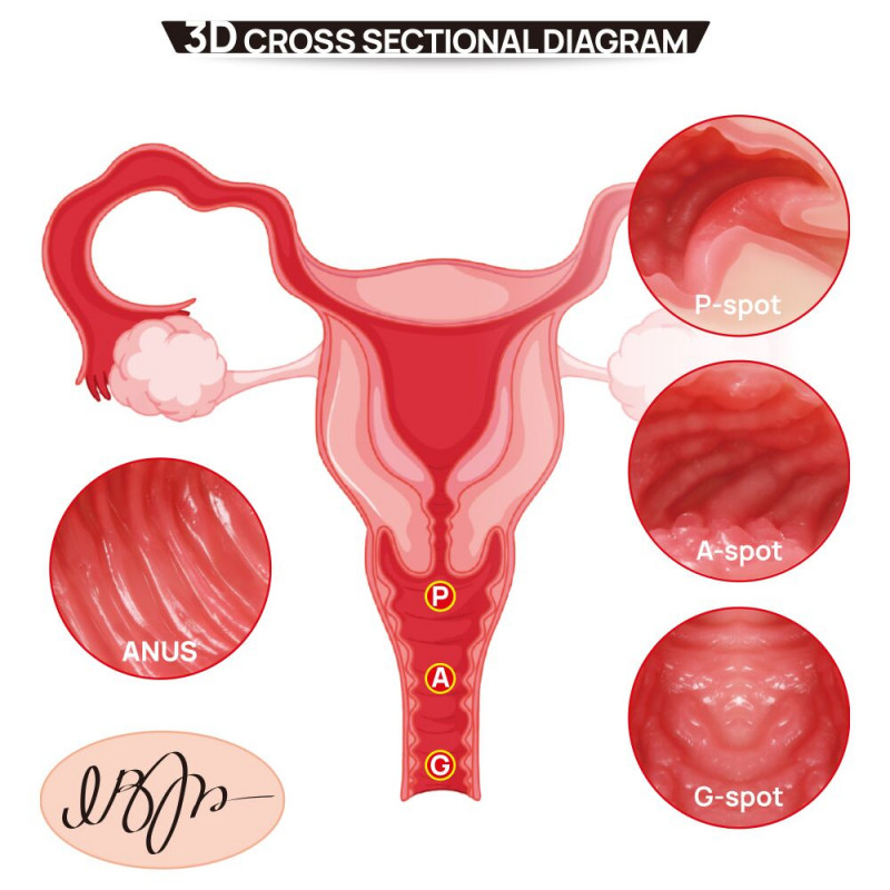 Мастурбатор Kokos 004 Vailla ONAHOLE Real Vagina - приклад використання, деталі