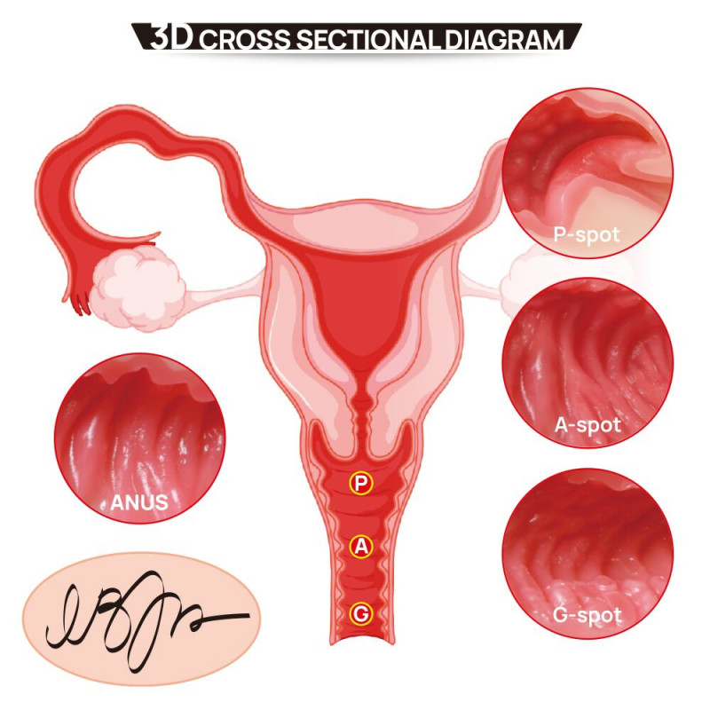 Мастурбатор Kokos 004 Vailla ONAHOLE Real Hips - демонстрація гнучкості