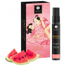Спрей для посилення слиновиділення Shunga Waves of Pleasure Watermelon — Keks-Hub