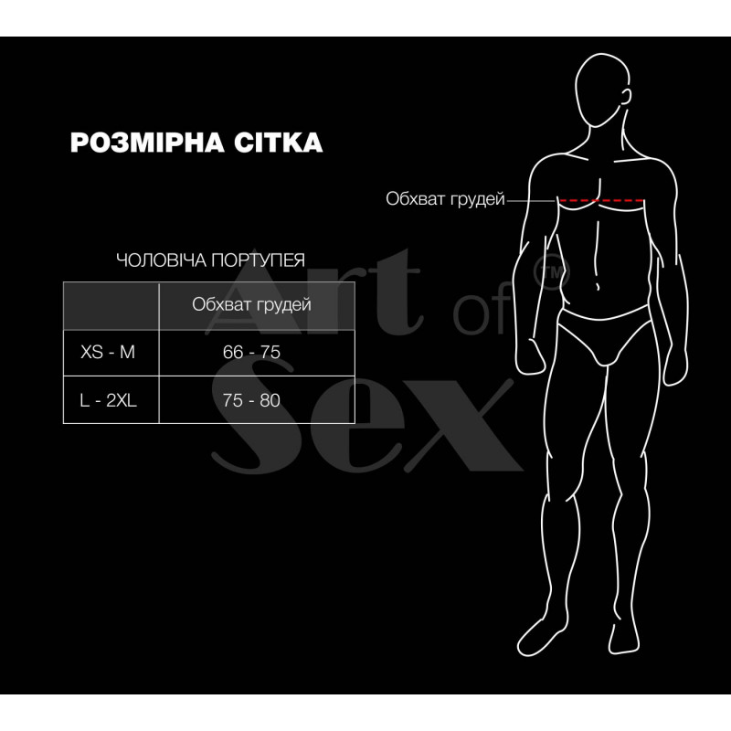 Упаковка чоловічої портупеї Art of Sex Spartacus червоного кольору